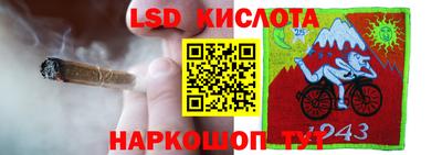 шишки Кингисепп